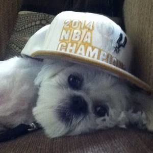 Meet your Posher, Ty